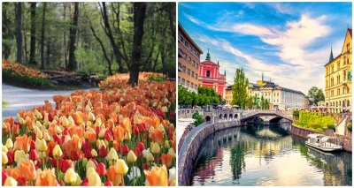 Jednodnevni izlet u Arboretum Volčji Potok i Ljubljanu s uključenim prijevozom!