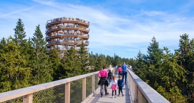[POHORJE I MARIBOR] krenite na "Put među krošnjama" te upoznajte ljepote Maribora!
