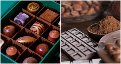 [AUSTRIJA] Posjetite Linz i Svijet pralina – jednodnevni izlet s Darojković prometom!