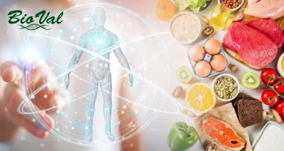 Test intolerancije iz kapi krvi ili korijena kose - na 450 ili 550 namirnica, uključujući gluten i laktozu!