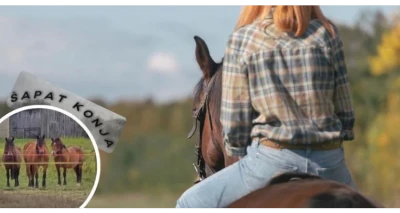 [Jahanje u netaknutoj prirodi] Uživajte u društvu ovih plemenitih životinja uz 2h terenskog jahanja!