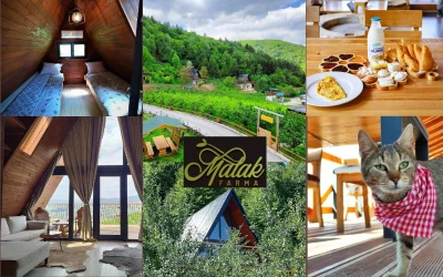 Malak Farma – pobjegnite od svakodnevice i uživajte u spokojnom odmoru, svježem zraku, prirodnom okruženju i opuštajućoj atmosferi daleko od gradske gužve!