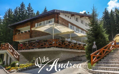 Vila Andrea | Impresivna lokacija za opuštanje na zdravom planinskom zraku u samom srcu trebevićke šume!