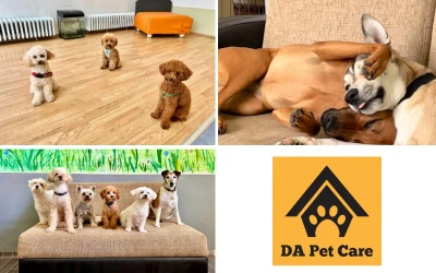 DA Pet Care I Idealno rješenje za potrebnu brigu o vašem psu dok ste na godišnjem odmoru!