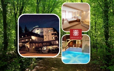 Smješten usred netaknutih obronaka planine Vlašić, Hotel Pahuljica 4* predstavlja idilično Wellness utočište!