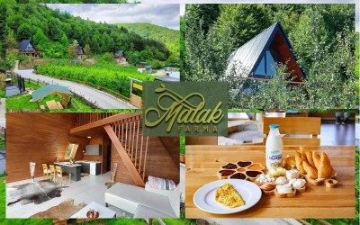 Malak Farma I Osjetite potpuni sklad s prirodom boraveći u drvenim kućicama koje spajaju udobnost i tišinu netaknute prirode!