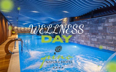Opustite se i napunite energiju - Wellness dan na Trebeviću uz bazen, fitness i tišinu prirode u Hotelu Pino Nature 4*!
