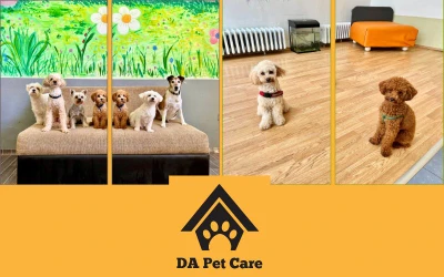 Učinite svom psu život ljepšim uz najbolju brigu u DA Pet Care!